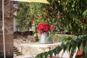 阿利若CHALÉ的花瓶,花朵红色,坐在桌子上