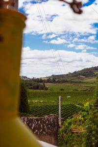a view of a vineyard from the window at CHALÉ in Alijó
