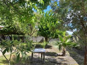 a table in the middle of a garden with trees at Golentle Home Stay in Maun