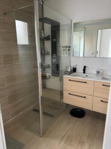 a bathroom with a shower and a sink at Villa accueillante à Millas avec piscine privée et jacuzzi in Millas