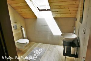 a bathroom with a sink and a toilet and a skylight at U Małgosi pod przełęczą in Wysowa-Zdrój