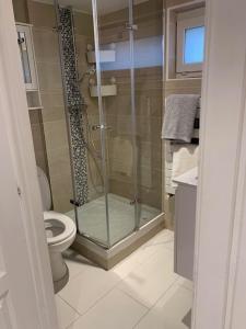 a bathroom with a shower and a toilet at AUBERGE APPARTEMENT ORMESSON SUR MARNE / SUCY EN BRIE in Sucy-en-Brie