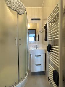a bathroom with a glass shower and a sink at Apartmán Žižka in Frymburk +28 photos