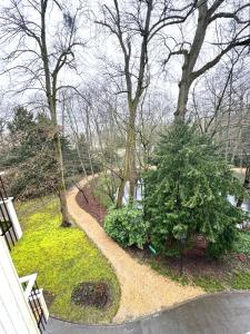 a path in a park with a christmas tree at Appartement Cosy Luxury with Lake in Brunoy