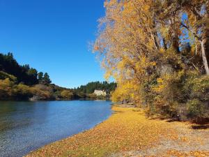 a shore of a river with trees and water at Clutha River Haven in Albert Town