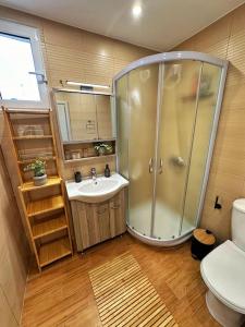 a bathroom with a shower and a sink and a toilet at Filoxenia City Apartment in Zakynthos