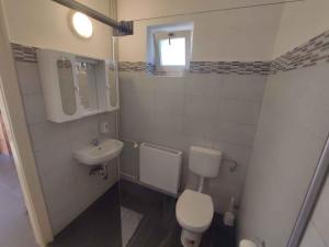 a small bathroom with a toilet and a sink at Apartment in Balatonalmadi 45314 in Balatonalmádi