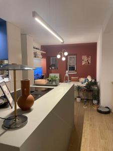 Una cocina con encimera y una sala de estar. en Élégant 2 chambres à deux pas de l'Espagne, en Urrugne