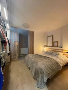 um quarto com uma cama grande e um closet em Élégant 2 chambres à deux pas de l'Espagne em Urrugne
