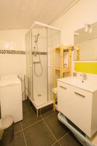 uma casa de banho com um chuveiro e um lavatório. em Maisonnette Cosy à Proximité de la Gare em Valence