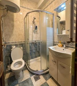 a bathroom with a shower and a toilet and a sink at My Mother's House Hostel in Skopje