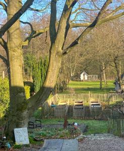 a tree in a park with benches and a fence at Little Lopsi in Detmold