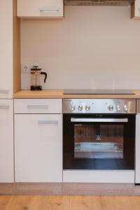 Kuchyň nebo kuchyňský kout v ubytování Kalkalpen Apartments