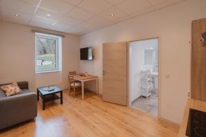TV a/nebo společenská místnost v ubytování Kalkalpen Apartments