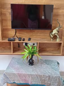- une télévision sur une étagère avec une plante sur une table dans l'établissement River Valley, à Mananthavady