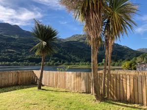 two palm trees in front of a fence and ariver at Heron’s View in Arrochar