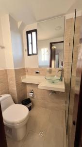 a bathroom with a toilet and a glass sink at Hotel Gran Conquistador 33 in Medellín