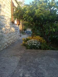 Ein Garten an der Unterkunft Apartments in Mali Losinj 14985