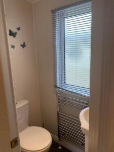 a bathroom with a toilet and a sink and a window at 2 Bed Lodge Style Caravan with Hot Tub & Private Garden in Patrington
