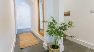 a plant in a vase on the floor of a hallway at Custom Mews in Beaumaris +39 photos