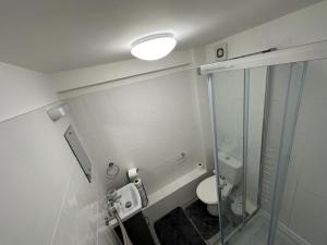 a bathroom with a toilet and a glass shower at Comfort Zone in Colchester