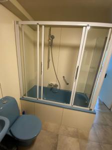 een badkamer met een douche, een toilet en een bad bij Appartement Lijnden in Lijnden