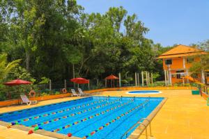 Bazén v ubytování Auro Wellness Castle nebo v jeho okolí