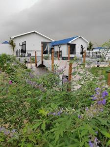 un jardin avec des fleurs violettes en face des bâtiments dans l'établissement شاليه ومنتجع ملك, à Jazan