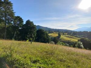 a field of grass with trees and mountains in the background at Aires de Quetzales in Concepción +10 photos