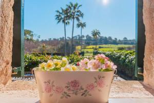 a pot of flowers sitting on a window sill at Es Rafal in Santa Margalida