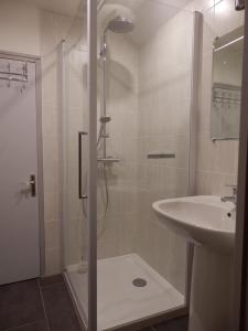 a bathroom with a shower and a sink at Au Presbytère de Dagmar in Erbrée