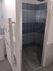 a shower with a glass door in a bathroom at LA BELLE IVOIRE in Saint-Marcel +9 photos