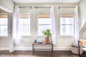 a room with two windows and a table with a plant at Flexhome East Town 1BR MF3 - READ INFO in Milwaukee