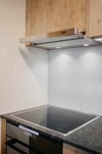 Dapur atau dapur kecil di Apartment Bergdohle