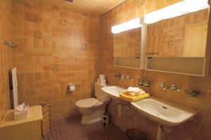 艾姆敦的住宿－Apartment Kaiser，一间带水槽、卫生间和镜子的浴室