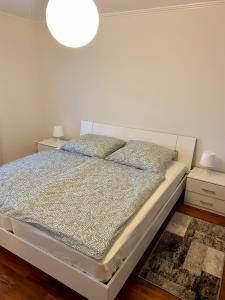 1 dormitorio con 1 cama con 2 almohadas en Ferienwohnung Antonia, en Rattelsdorf