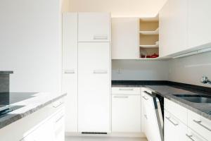 Eldhús eða eldhúskrókur á Apartment Soldanella