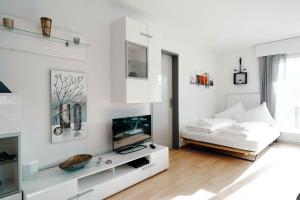 A television and/or entertainment centre at Apartment Panoramablick