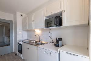 アヌシーにあるDUCS DE SAVOIE - Comfortable flat a stone's throw from the old townの白いキャビネットとシンクと電子レンジを備えたキッチン