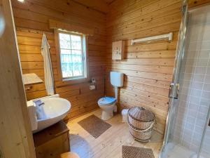 a wooden bathroom with a toilet and a sink at Garten Eden in Frohburg