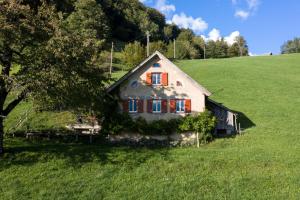 a house on a hill in a green field at Cottage Obereichholzberg in Weesen