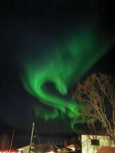 an image of the northern lights in the sky at Koselig overnattingssted med fjordutsikt in Sjøvegan