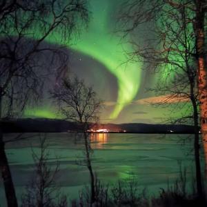 an aurora dances in the sky over a lake at Koselig overnattingssted med fjordutsikt in Sjøvegan