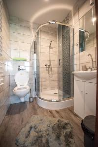 een badkamer met een douche, een toilet en een wastafel bij Domki Niegowa Pokoje in Niegowa