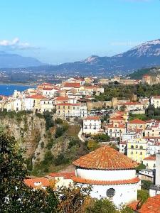 Naturlandskabet i nærheden af lejligheden