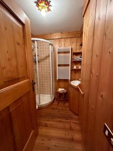 a bathroom with a walk in shower and a walk in shower at Pecol Cozy Apartment R&R in Cortina dʼAmpezzo