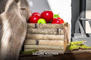 Zdjęcie z galerii obiektu Zielone Wzgórza - Hobbitowe Domki na Kaszubach w mieście Przywidz