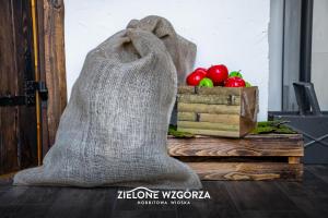 Zdjęcie z galerii obiektu Zielone Wzgórza - Hobbitowe Domki na Kaszubach w mieście Przywidz