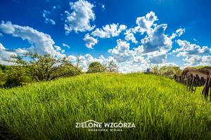 Zdjęcie z galerii obiektu Zielone Wzgórza - Hobbitowe Domki na Kaszubach w mieście Przywidz