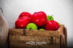 Zdjęcie z galerii obiektu Zielone Wzgórza - Hobbitowe Domki na Kaszubach w mieście Przywidz